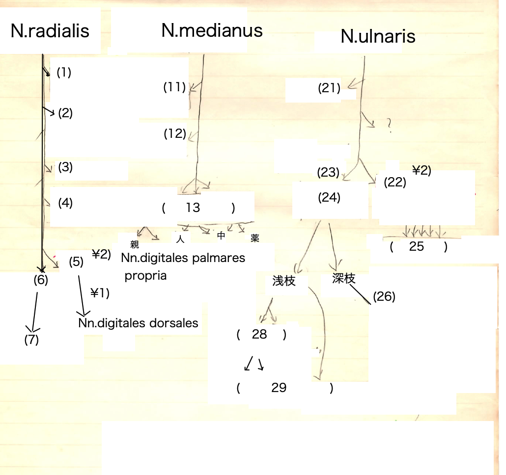 NRMU040