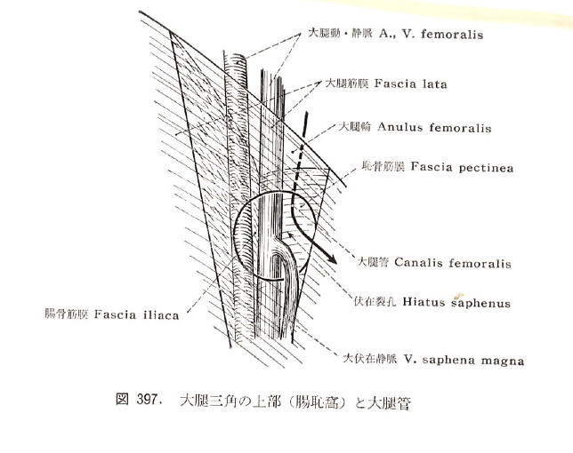 daitai